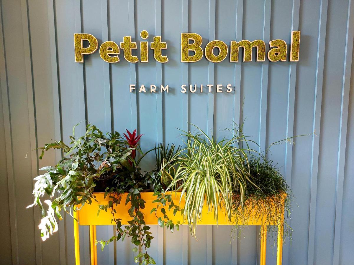 Les Suites De Petit Bomal Durbuy Bagian luar foto